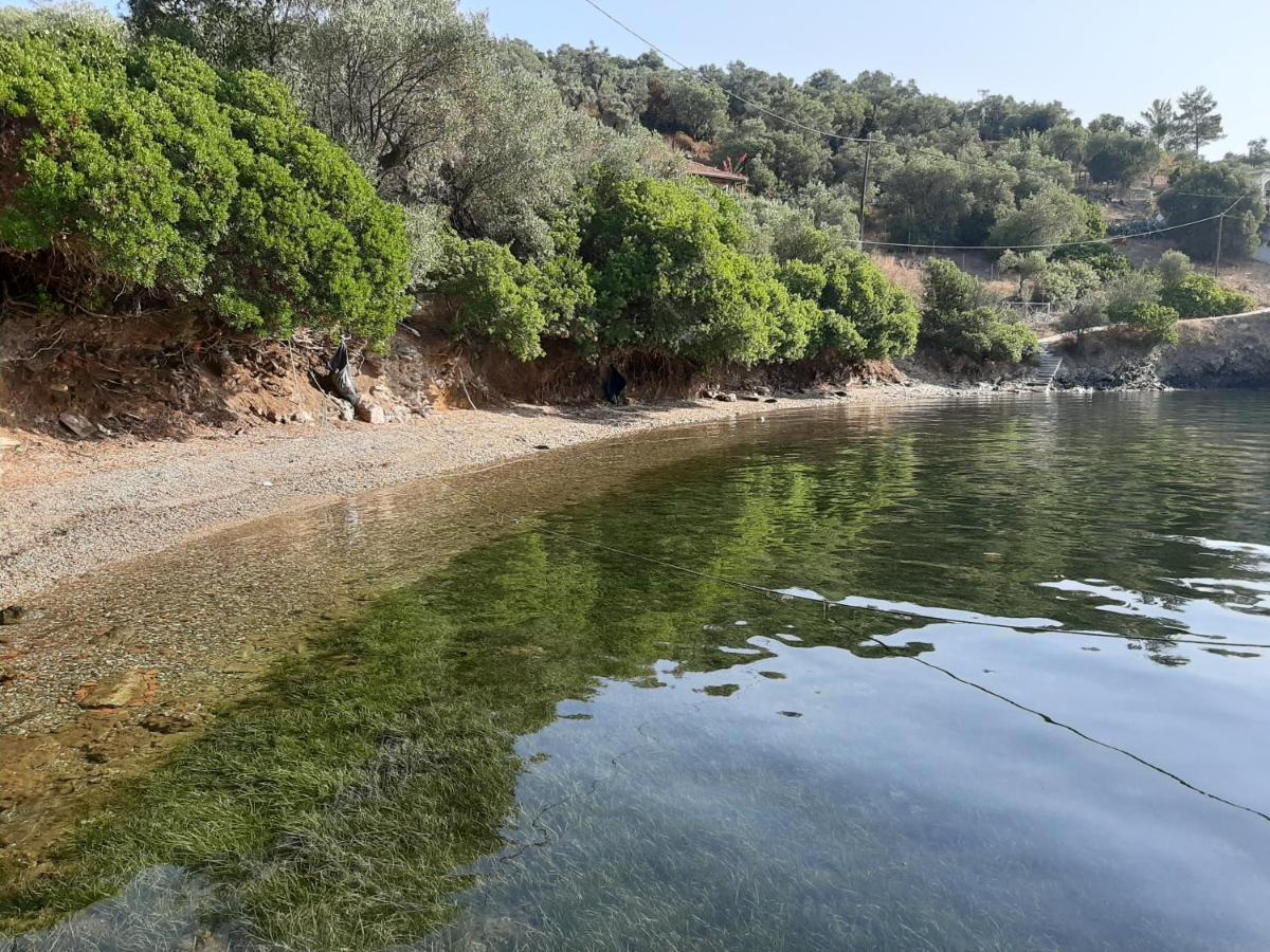 Chiona΄S Apartments By The Sea Paleo Trikeri Dış mekan fotoğraf